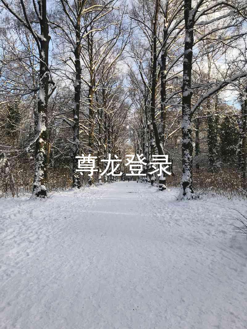 尊龙登录